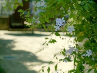 からだに優しい整体のりらくのきです|神立駅徒歩5分